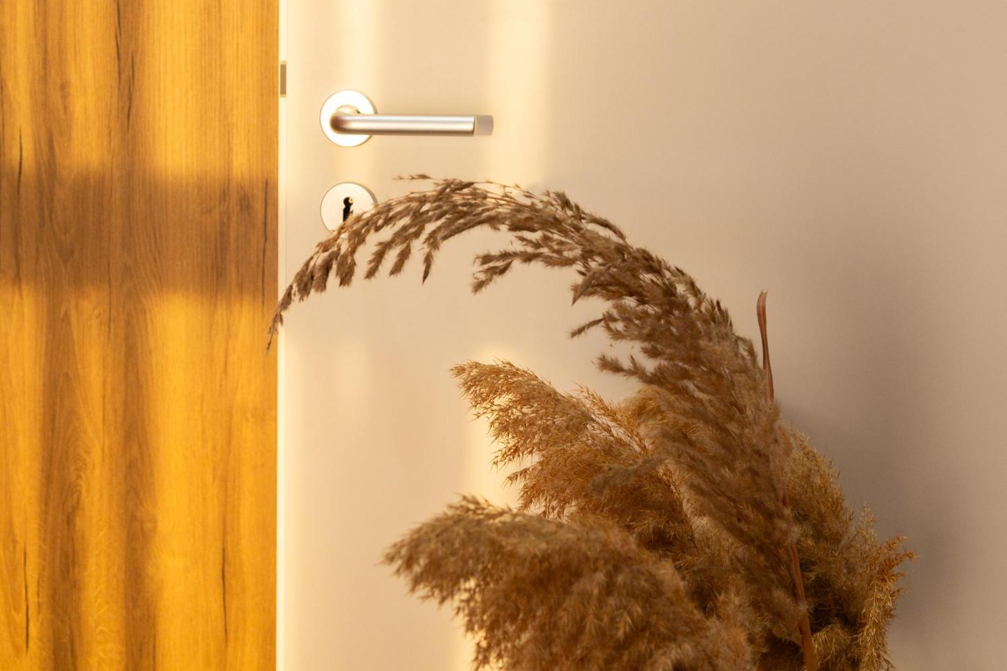 Art Vista Apartment Тирана Екстериор снимка